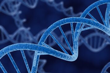 Genetics