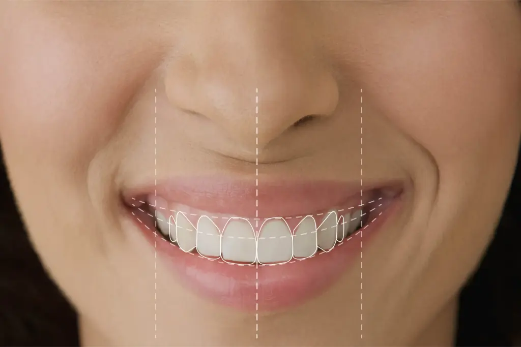 Symmetrical in size shape and length