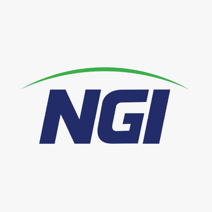 NGI